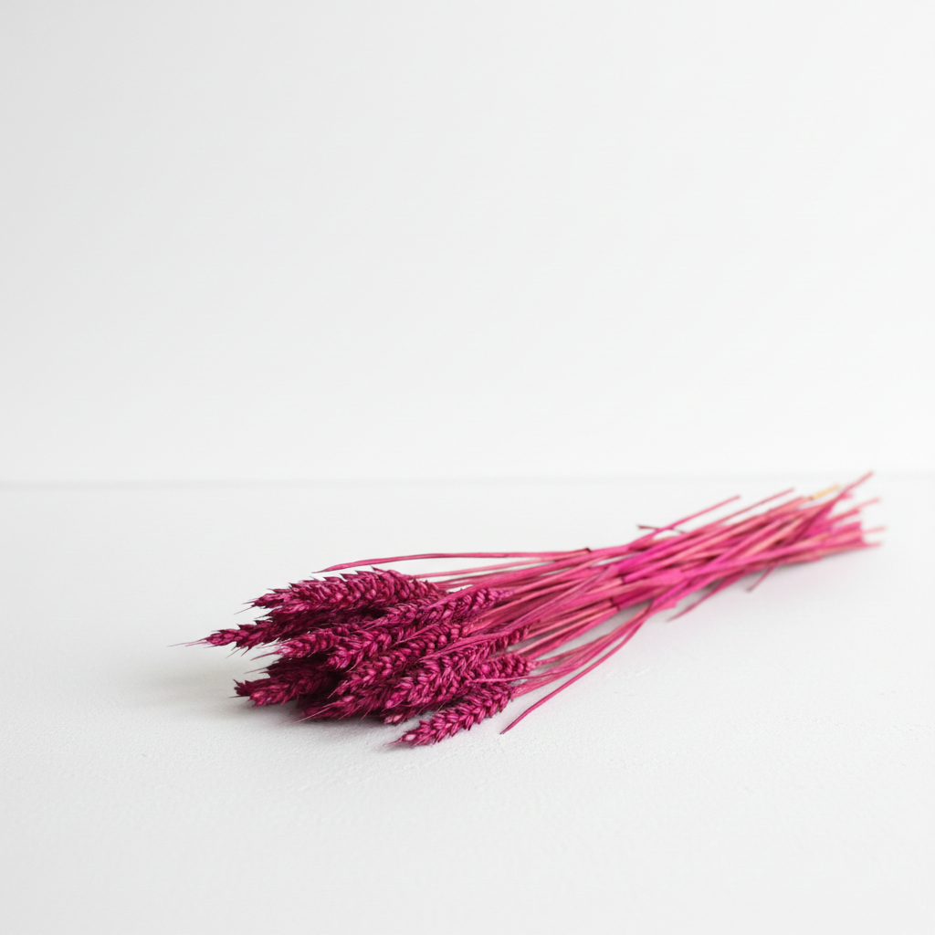 Sušená pšenice violet – fialová přírodní dekorace do vázy, kytic a aranžmá